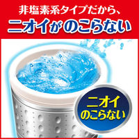 カビキラー 洗濯槽クリーナー 洗濯槽カビキラー 酸素系粉末タイプ 250g 1個 洗濯機 除菌 ジョンソン（わけあり品）