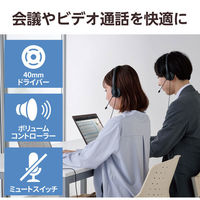 ヘッドセット USB 有線 単一指向性 ノイズキャンセリング オーバーヘッド HS-HP06SUBK 1個 エレコム（わけあり品）