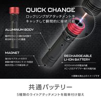 ゼピール LEDライトセット マルチギミックZ Typeライト ZLHー10JA（K） 1台