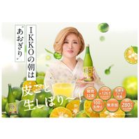 青切りシークヮーサー100The PREMIUM 1セット（1本×12） 沖縄特産販売