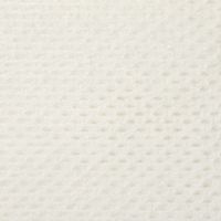 使いきり カウンタークロス 薄手 レギュラー 約30×60cm ホワイト 1セット（1袋（100枚入）×3）伊藤忠リーテイルリンク