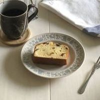 カクセー 森の仲間たち 55皿ペア MO-006 1セット（直送品）