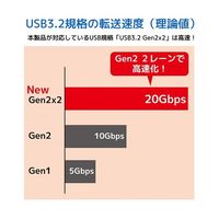 ラトックシステム USB3.2 Gen2x2 PCI Expressボード(TypeーC×1) RS-PEU32-C1 1個（直送品）