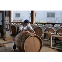 神の河 Light 20度 600ml 1セット（6本） 麦焼酎 薩摩酒造 かんのこライト