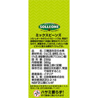 ソル・レオーネ ミックスビーンズ 1セット（2個）