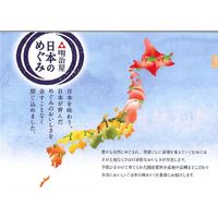 明治屋 日本のめぐみ 長崎育ち 青島みかん 5個