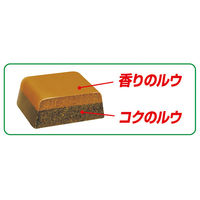 グリコ プレミアム熟カレー中辛 2個 カレールー