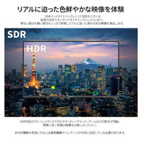 JAPANNEXT 21.5インチ液晶モニター 上下昇降機能/画面回転機能 JN-I215F-HSP 1台