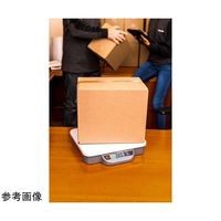 オーハウス エコノミー台はかり・シッピングスケール 秤量75kg 最小表示0.05kg i-C12P75JP 1個 67-8041-06（直送品）