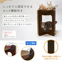 バリバリボウルタワーXL 交換用つめとぎ 2個パック ダークブラウン 1個 猫壱