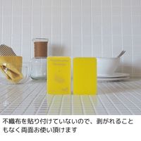 （季節・数量限定）亀の子スポンジ スタンダード 角型 キッチンスポンジ 抗菌・防カビ加工 ツキ 1個 亀の子束子西尾商店