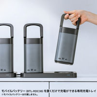 サンワサプライ ハンドル一体型モバイルバッテリー専用充電トレイ(2台置き用) BTL-RDC36CTR 1個