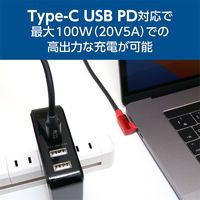 ナカバヤシ Type-C PD100W対応ケーブル L型 3m UPD-2A30L/BK 1本