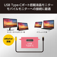 ナカバヤシ Type-C 映像出力/PD給電ケーブル 1.2m USB-CCD12/BK 1本