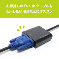 ナカバヤシ DisplayPort-D-SUB 変換アダプタ DP-DSA1/BK 1本