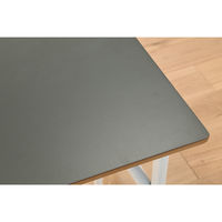 【軒先渡し】HIKARI ワークカフェダイニング ダイニングテーブル DLT-アリカ 120-Mテンバン GRY/ウッドレッグ 1台（直送品）
