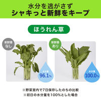 野菜長持ち 新鮮番 野菜室に置くだけ 野菜用 鮮度保持剤 1セット（1個×5）エステー