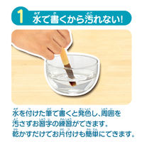 パイロット スイスイおえかき for Study 何回も書ける！お習字入門水書きセット 水で書ける習字 習字 1823115 1個