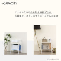 アスカ 木製ファイルワゴン2段 ホワイト FWG02W 1台（直送品）