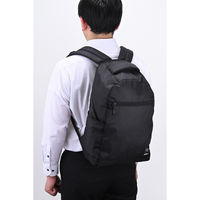 バイタルジャパン バックパック ビズディパック ブラック TBU-004 1個（直送品）