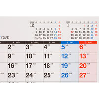 高橋書店 【2025年版】エコカレンダー壁掛 A2 年間 ポスタータイプ 月曜始まり E7 1セット(1冊×2)（直送品）