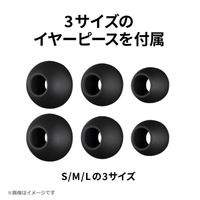 JVCケンウッド テレワーク用イヤホン ブラック HA-FR9-B 1個