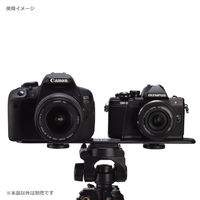 エツミ ツインプレート VE-7088 1個（直送品）