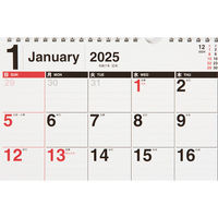 高橋書店 【2025年版】エコカレンダー壁掛 A4 E61 1セット(1冊×2)（直送品）