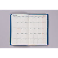 高橋書店 【2025年版】ニューダイアリーアルファ7 手帳判 片側1週間+ノート 月曜始まり コバルトブルー 110 1冊（直送品）