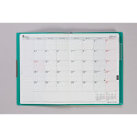 高橋書店 【2025年版】フェルテ9 B6 見開き1週間 月曜始まり ターコイズ 239 1冊（直送品）