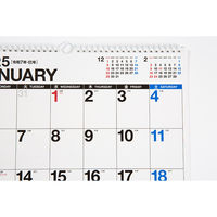 高橋書店 【2025年版】エコカレンダー壁掛 B3変型 E52 1冊（直送品）