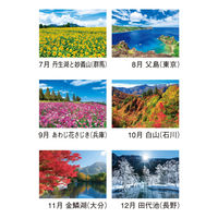 新日本カレンダー 【2025年版】壁掛カレンダー 四季の日本 46/4切 NK8087 1冊（直送品）