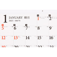 高橋書店 【2025年版】エコカレンダー壁掛 B3 E51 1冊（直送品）