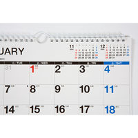 高橋書店 【2025年版】エコカレンダー壁掛 A4×2面 2カ月一覧 E60 1冊（直送品）