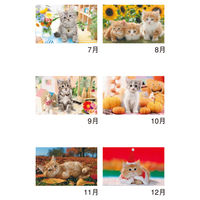 新日本カレンダー 【2025年版】壁掛カレンダー サンキュー・キャット 46/8切 NK8455 1冊（直送品）