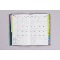 高橋書店 【2025年版】T'beauインデックス3 手帳判 見開き1週間 日曜始まり グリーン 336 1冊（直送品）