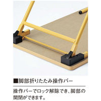 【軒先渡し】ニシキ工業 教育施設テーブル 幅900×奥行600×高さ450mm アイボリー AEW-0960L-IV 1台（直送品）