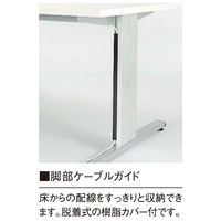 【軒先渡し】ニシキ工業 ミーティングテーブル 幅2100×奥行1000×高さ720mm ペールウッド APRL-2110W-PL 1台（直送品）