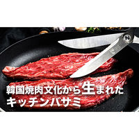 プロビジョン ピースキッチンはさみ カルバ 6300057152 1丁（直送品）