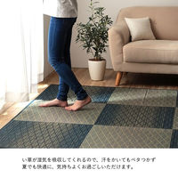 イケヒコ・コーポレーション ダイヤ い草ラグ 無地 2400×2400mm グリーン 1030541123103 1枚（直送品）