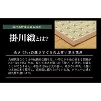 イケヒコ・コーポレーション 豊後 掛川織 い草カーペット 2610×2610mm ベージュ 1031170020402 1枚（直送品）