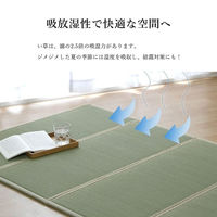 い草 ユニット 畳 軽量 抗菌防臭 消臭 防音 断熱性 お手入れ『畳マットレス』 1040130011014 1枚
