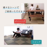 イケヒコ・コーポレーション 洗える ござ 日本製 国産 カーペット 除菌スプレー対応 ラグ 敷物『ラフテル』 1090270000902 1枚