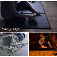 イケヒコ・コーポレーション マットレス 三つ折り 日本 国産 畳 カビ防止 置き畳 軽量 梅雨『フレア』 1110781031938 1枚（直送品）