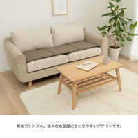 イケヒコ・コーポレーション クッション フリーシート ベンチシート 無地 国産『ループ』 1211810060501 1枚