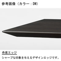 【軒先渡し】ニシキ工業 ビッグテーブル 幅4800×奥行1200×高さ720mm オフホワイト ANDS-B4812K-OW 1台（直送品）