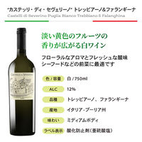 ワインメーカーソムリエ厳選 デイリー辛口白ワイン飲み比べ4本セット 1セット（750ml×4本）　モンテ物産