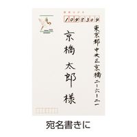 パイロット 筆ペン 筆まかせ 黒 細字 SFM-20F-B 1本