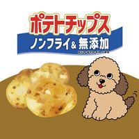 ポテトチップス 国産 50g 1袋 スマック 犬用 おやつ