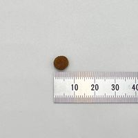 キャットスマック 皮膚被毛の健康維持 国産 1.8kg 1袋 スマック 猫用 おやつ